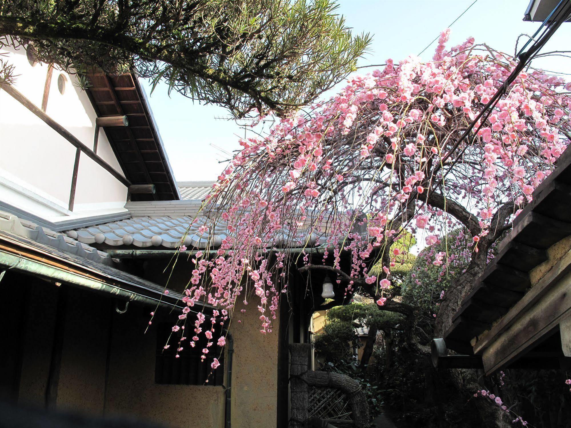 Guesthouse Nara Backpackers Exterior foto